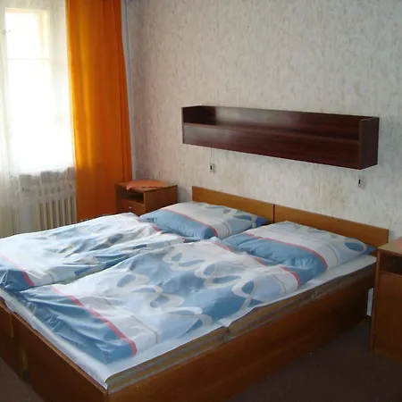 Protez