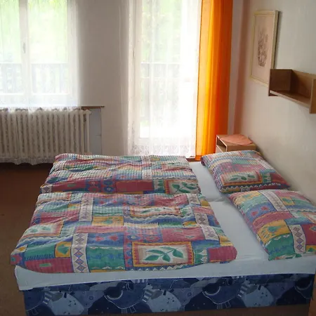 Casa de hóspedes Protez Janske Lazne