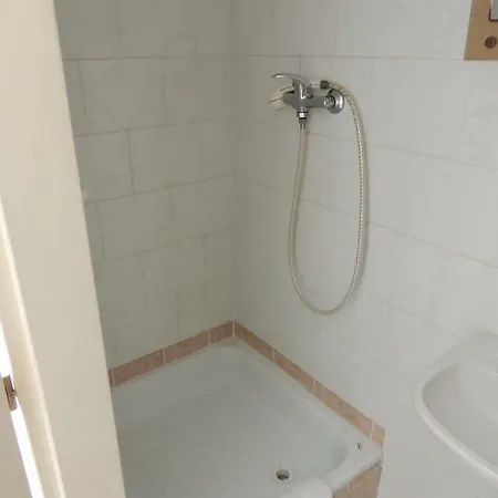 Guest house Protez 3*
