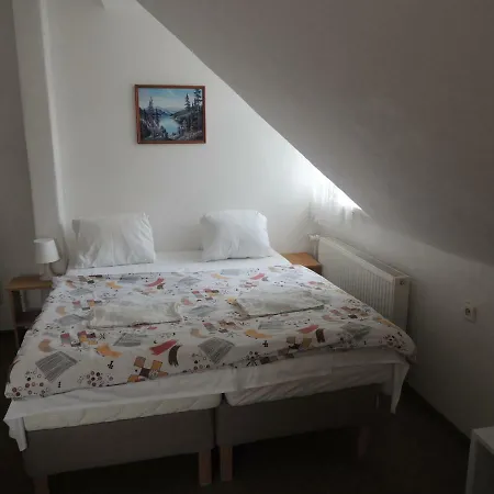 Protez Pensión 3*